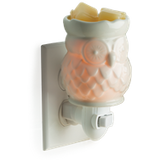Pluggable Wax Warmers - Candle Queen Candles