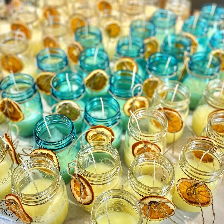 Dried Oranges Collection