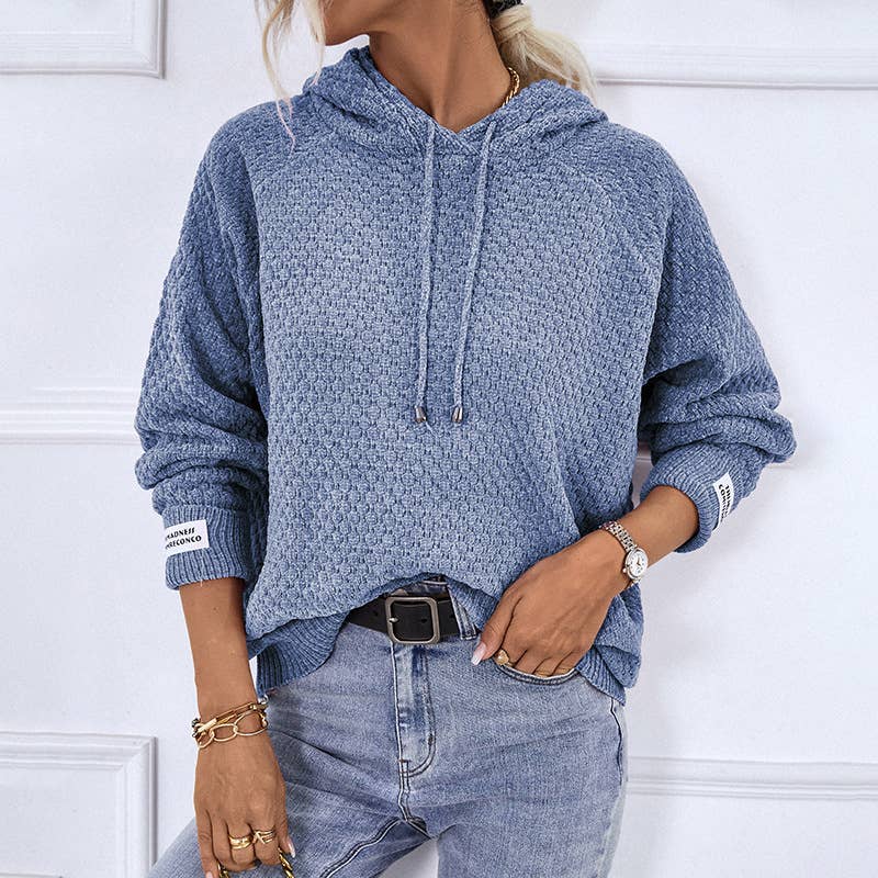 Pullover Casual Hooded Sweater: Blue / L