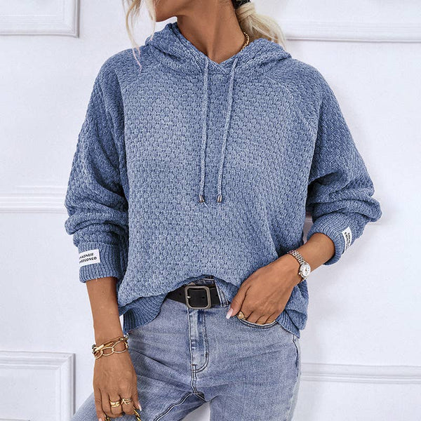 Pullover Casual Hooded Sweater: Blue / L