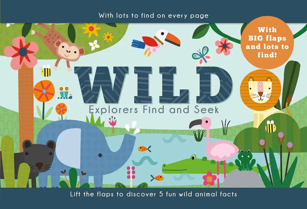 Seek & Find Board Book - Wild