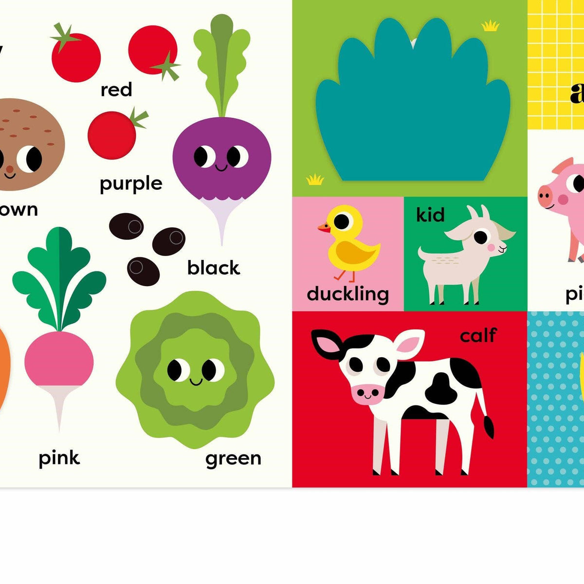 My BIG Playbook: Farm: Board Book