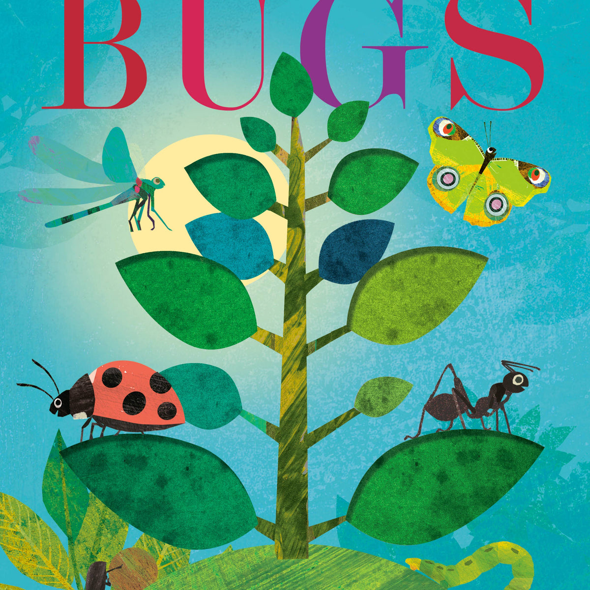 Bugs: A Peek-Through Board Book