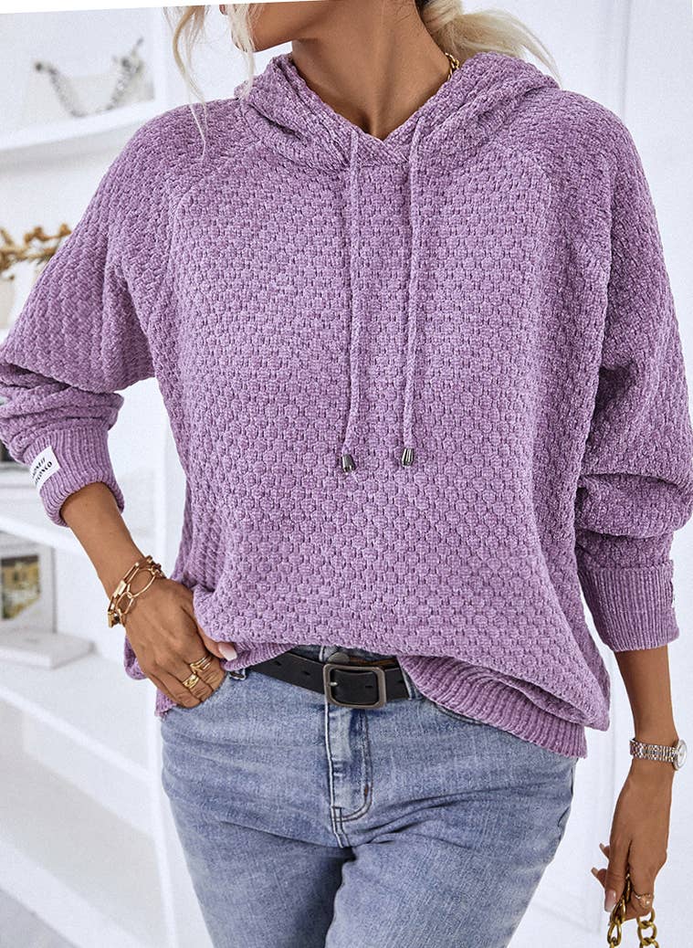 Pullover Casual Hooded Sweater: Purple / L