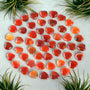 ❤️ Red Carnelian Crystal Mini Heart Stones 🧡✨