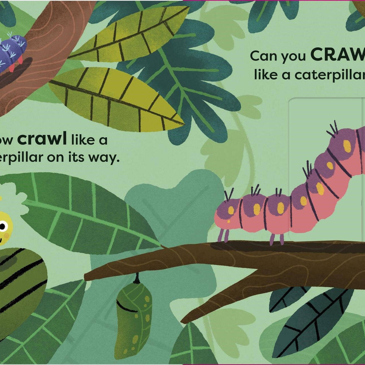 Animal Actions: Buzz Like a Bee: Board Book
