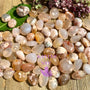 Natural Flower Agate Tumble