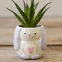 Tiny Faux Bunny Succulent