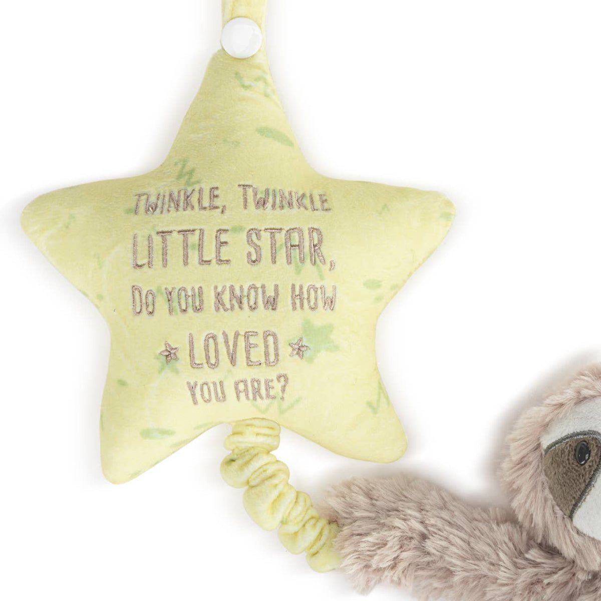 Musical Pull Toy - Sloth