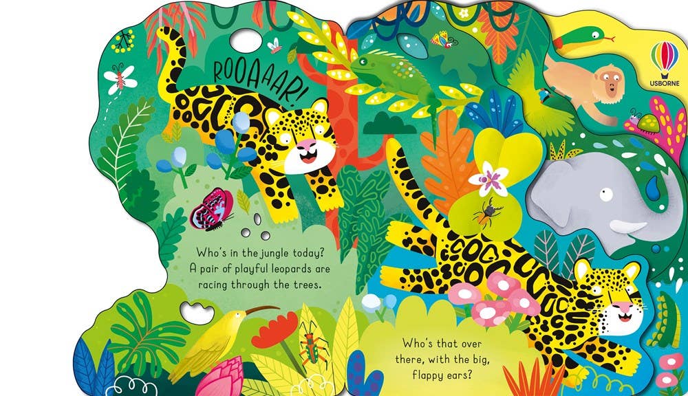 Who's in the Jungle Today? board book : Usborne