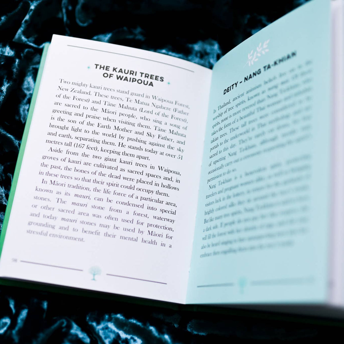 The Little Book of Trees: The Folklore, Magic, & Mysticism