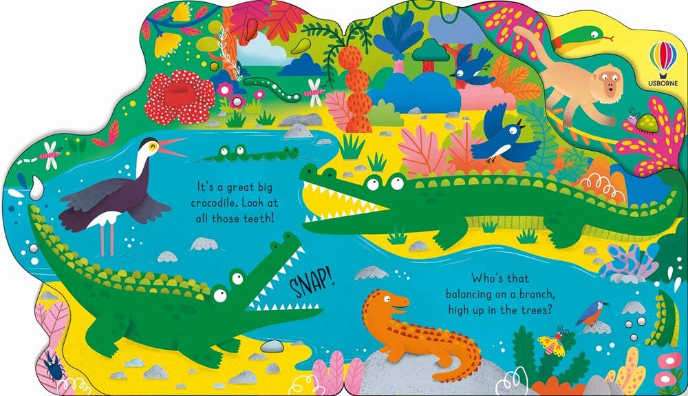 Who's in the Jungle Today? board book : Usborne