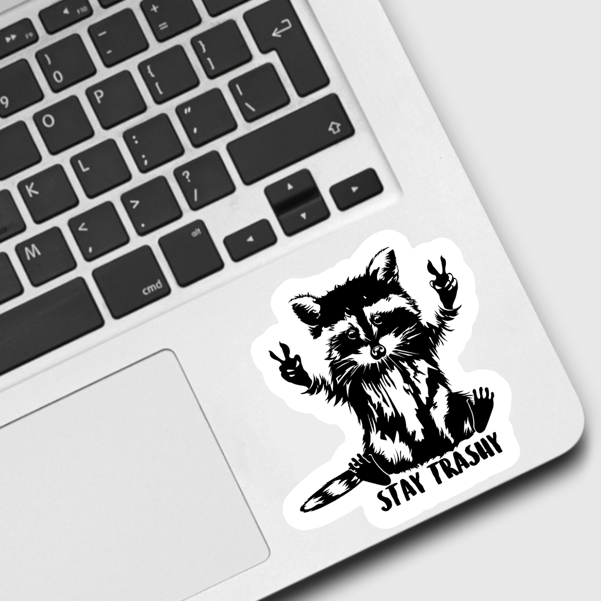 Raccoon Stay Trashy Sticker