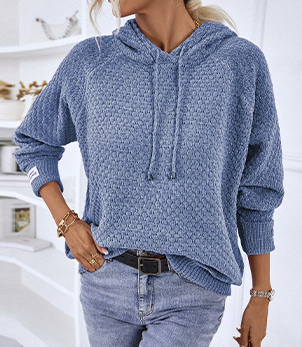Pullover Casual Hooded Sweater: Purple / M