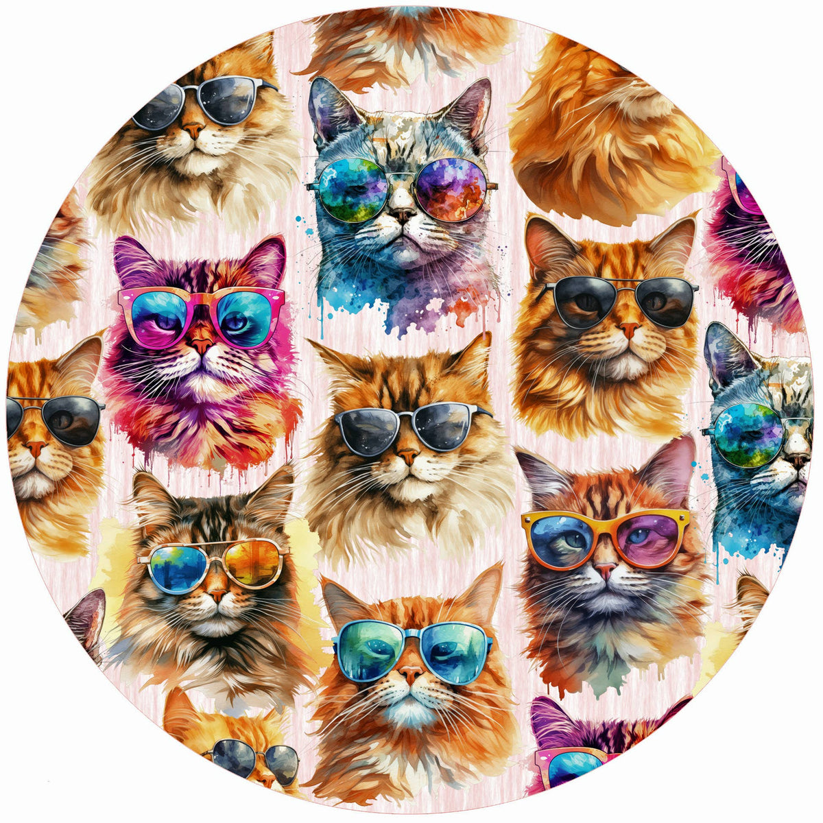 Kool Kat: Jar Opener