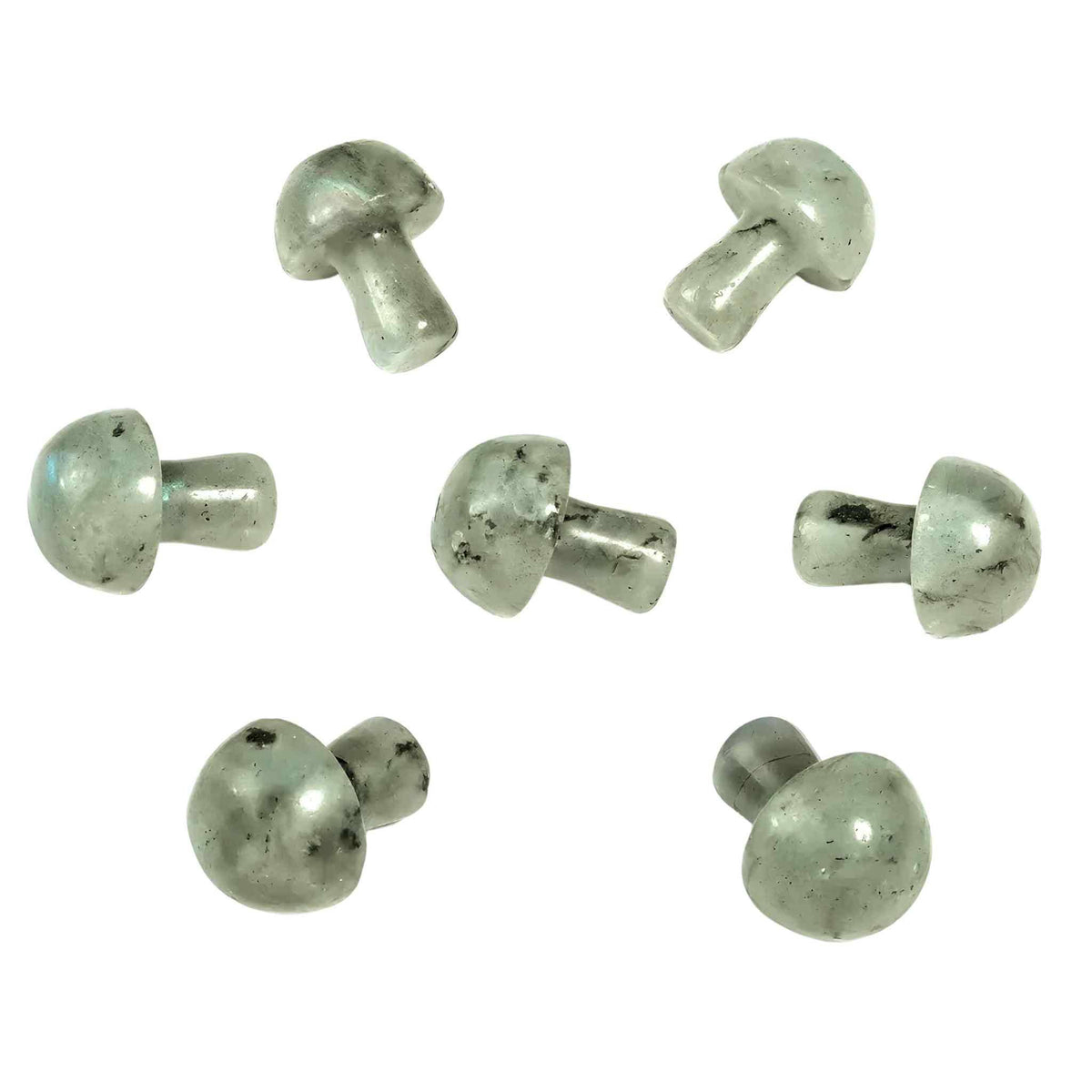 Crystal Mushroom: Black Obsidian