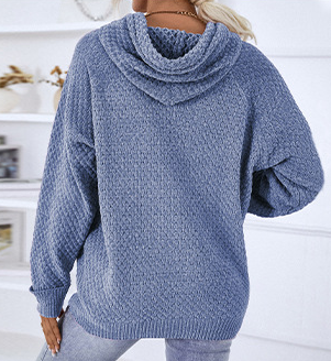 Pullover Casual Hooded Sweater: Blue / M