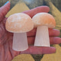 Large Selenite Mushroom 🍄