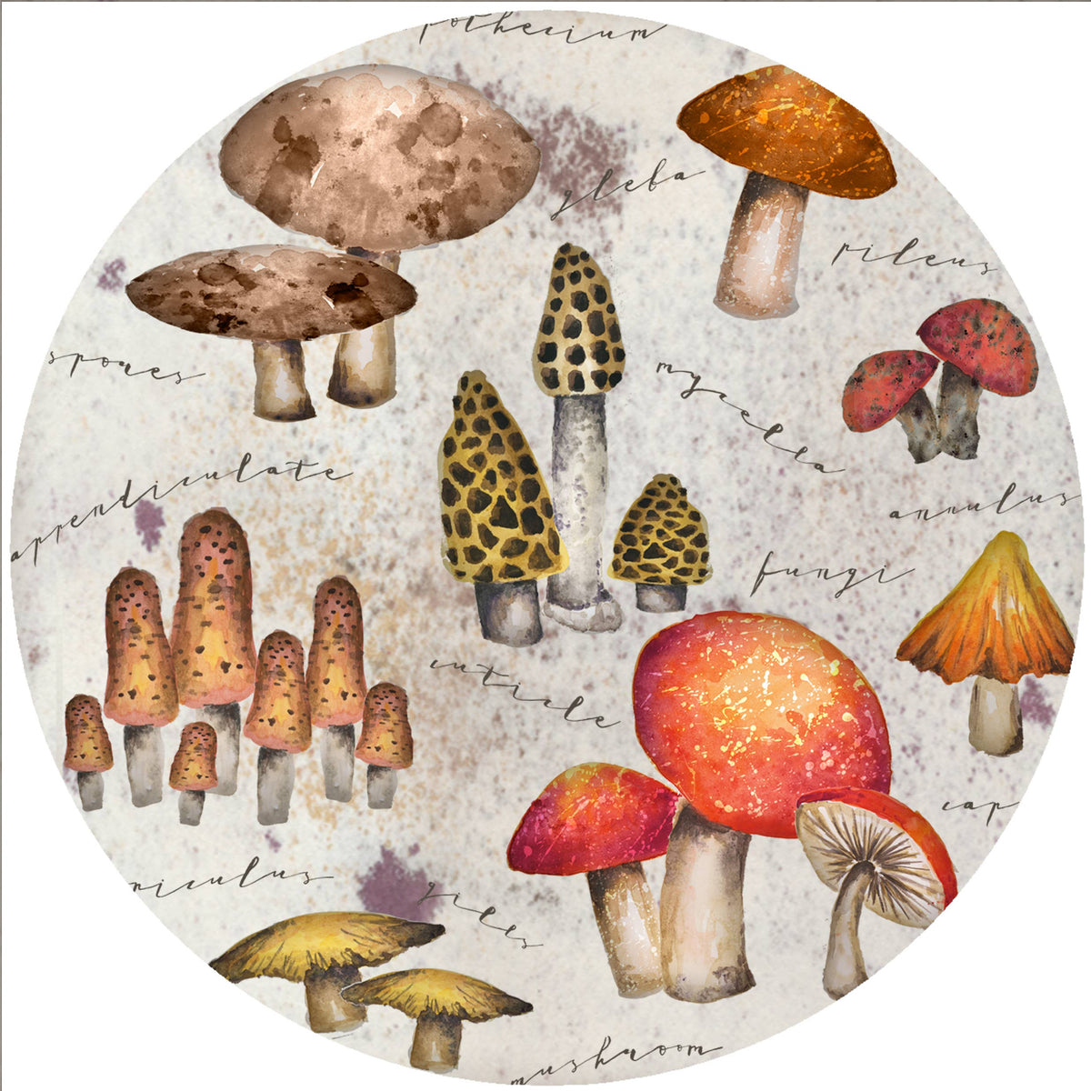 Mystical Mushroom Silicone Jar Opener