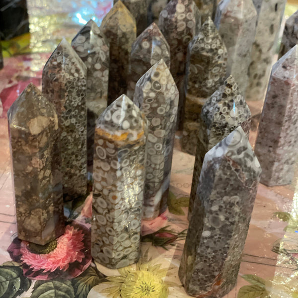 Fossilized Coral Towers