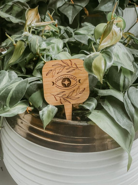 Magical Plant Stake - Candle Queen Candles